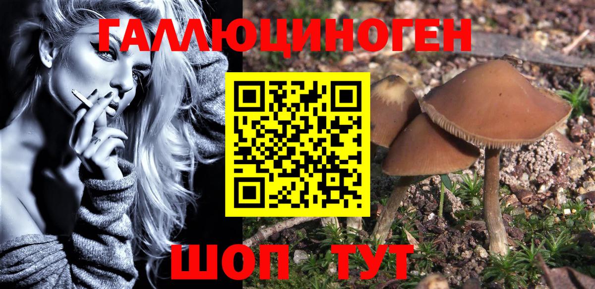 Благодарный  Галлюциногенные грибы Magic Shrooms  Вход с VPN 